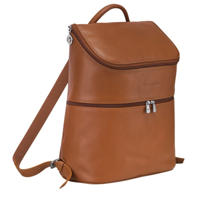 Men's Longchamp Le Foulonné Backpacks Brown | 27PRMSWIY