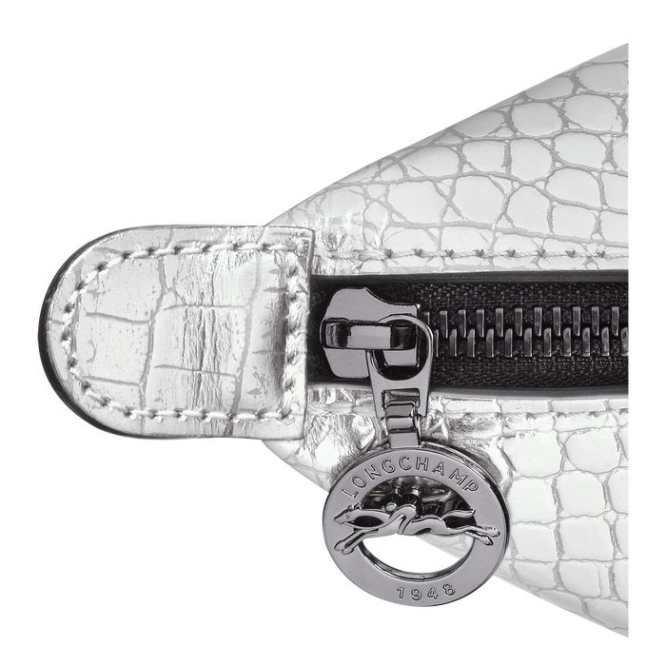 Women's Longchamp Le Pliage Cuir Croco XS Top-handle Bags Silver | 13HNGFSLM